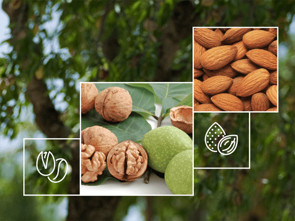 Nut Irrigation Solutions