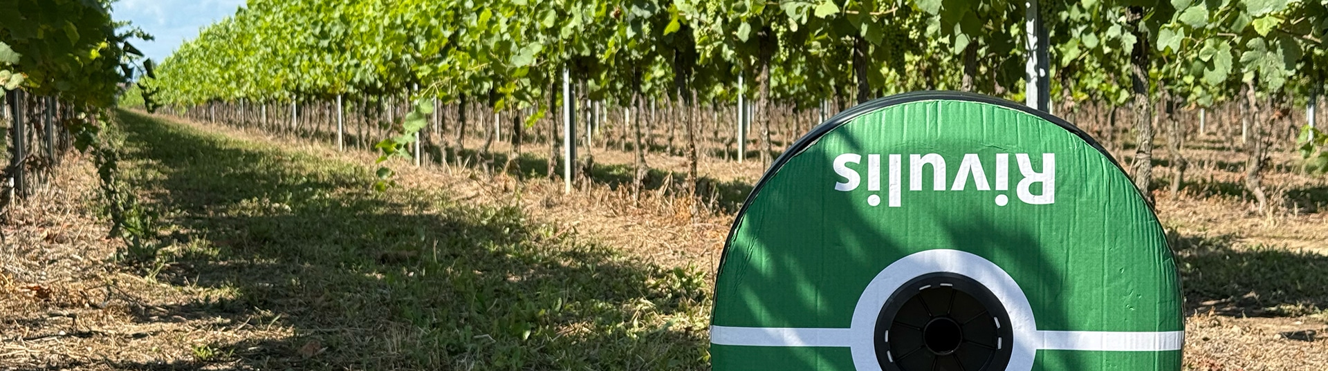 Rega fragmentada e difícil de gerir: como a Rivulis resolveu os problemas nos vinhedos de Daniele Avoledo