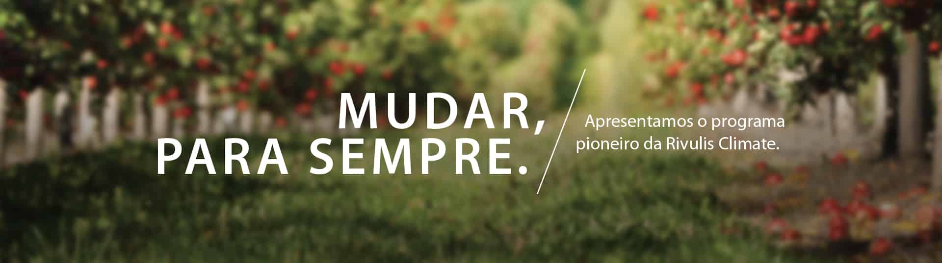 Clima: Créditos de carbono para lucro