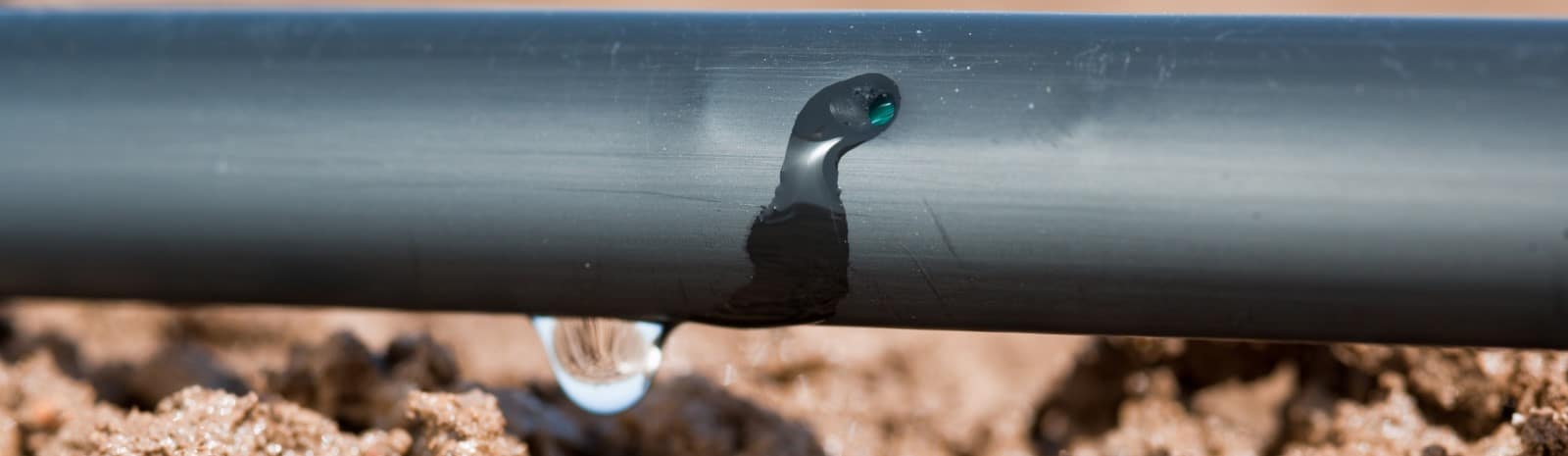 Escolha correta do método de irrigação por gotejamento impacta na produtividade da sua plantação